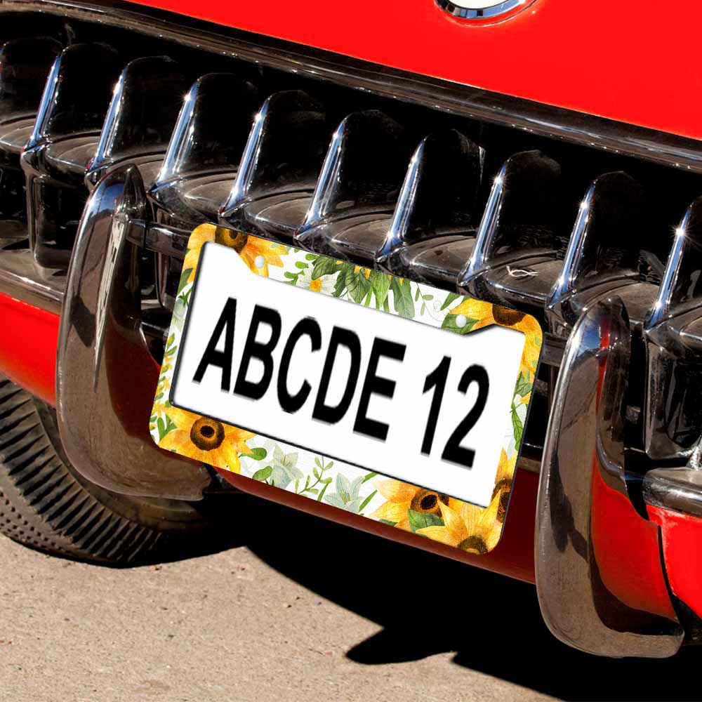 Single License Plate Frame with Two Round Holes