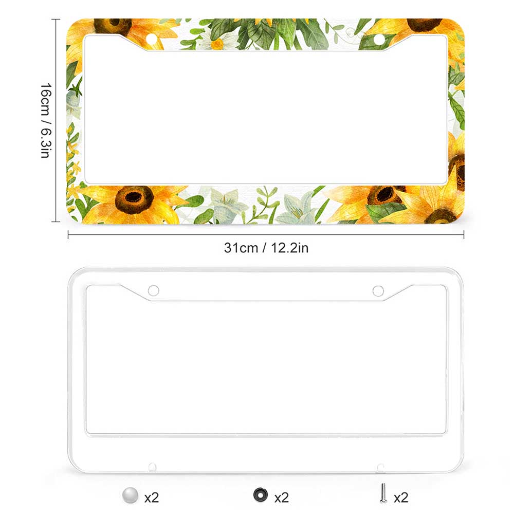 Single License Plate Frame with Two Round Holes