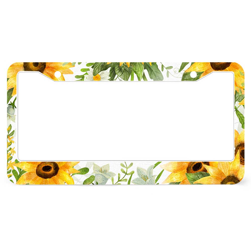 Single License Plate Frame with Two Round Holes